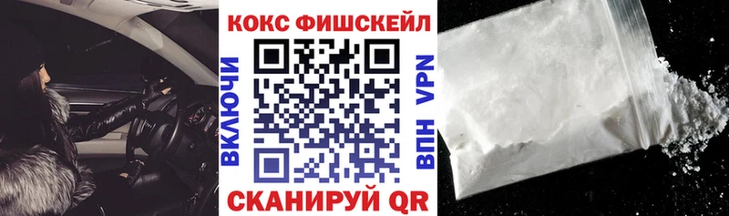 Кокаин Fish Scale  купить  цена  Йошкар-Ола 