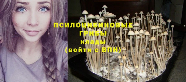 скорость Алексеевка