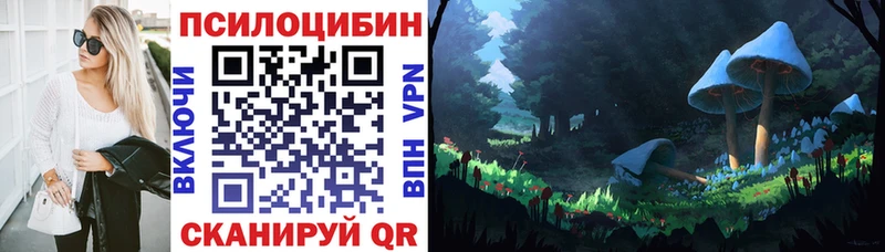 как найти наркотики  MEGA сайт  Псилоцибиновые грибы мицелий  Йошкар-Ола 